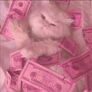 Meet your Posher, Kyana